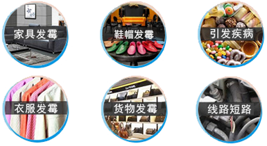 cfc15356d5232e8a8979-1